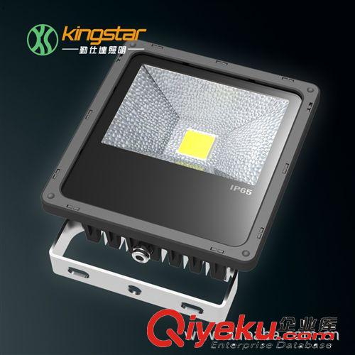 LED泛光燈 50WLED泛光燈 LED投光燈 LED投射燈 戶外燈具 生產(chǎn)廠家