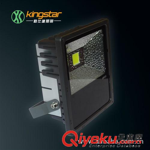 LED泛光燈 50WLED泛光燈 LED投光燈 LED投射燈 戶外燈具 生產廠家