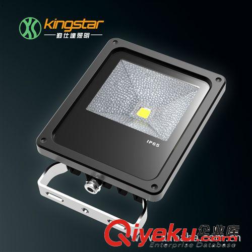 LED泛光燈 10WLED泛光燈 LED投光燈 LED投射燈 戶外燈具 生產(chǎn)廠家