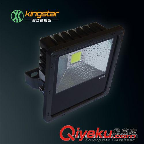 LED泛光燈 10WLED泛光燈 LED投光燈 LED投射燈 戶外燈具 生產廠家