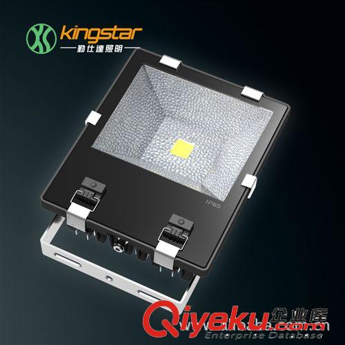 LED泛光燈 10WLED泛光燈 LED投光燈 LED投射燈 戶外燈具 生產廠家