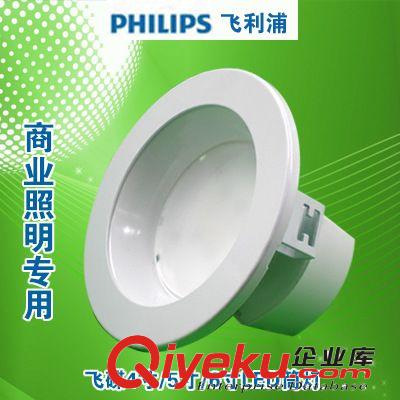 飛利浦400w投光燈泛光燈/廣告燈 RVP350 250W/400W HPI-T 金鹵燈