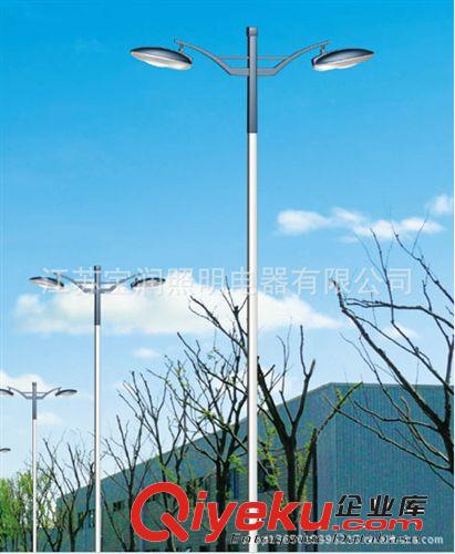 雙臂燈7.24    雙臂道路路燈新農(nóng)村建設(shè)路燈Led原始圖片2