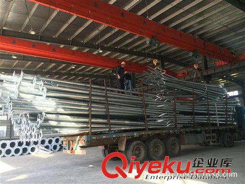 廠家專業直銷 道路照明路燈桿 6/ 8/10/12米路燈桿 廣場球場用原始圖片3
