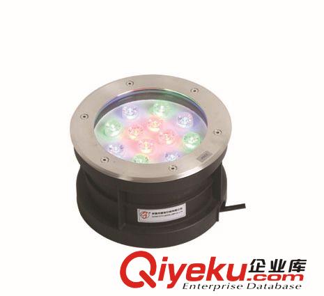 LED 地埋燈原始圖片3