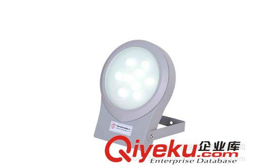 燈具廠家批發(fā)供應戶外LED大功率節(jié)能射燈原始圖片3