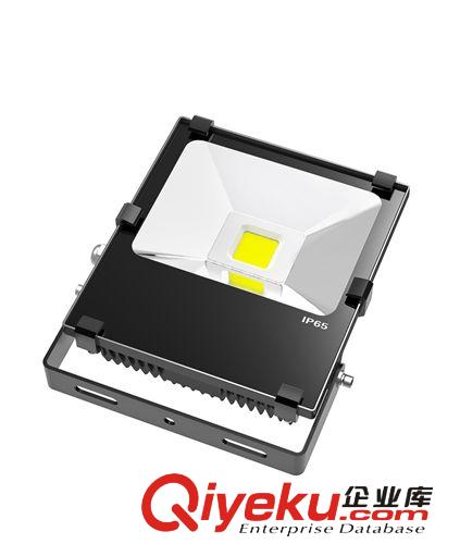 廠家直銷 集成投光燈 泛光燈 LED泛光燈 LED投光燈 廣告招牌燈