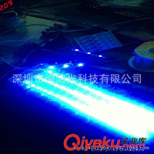 【情親推薦】供應高亮 LED5050全彩模組 5050幻彩模組led