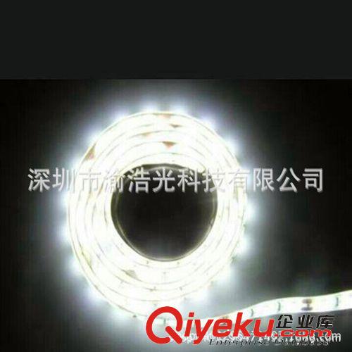 廠家直銷 LED軟燈條 5050軟燈帶 LED軟燈條 5050燈帶燈條 12V