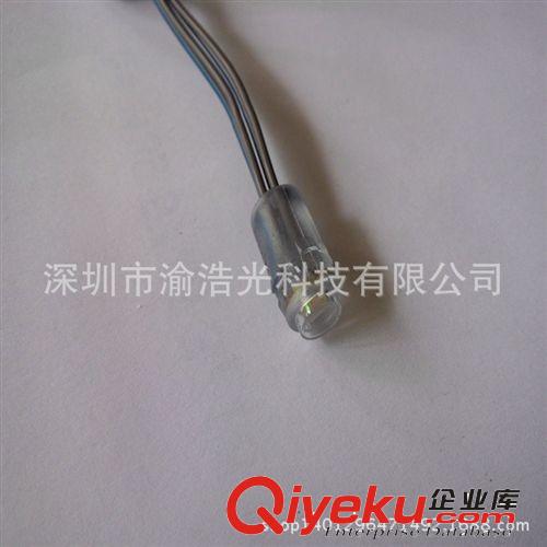 廠家供應(yīng) LED貼片外露燈串 5050外露燈串 高亮白光貼片外露燈串