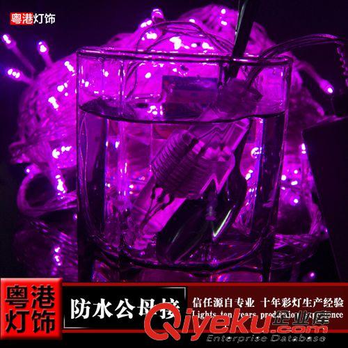 LED彩燈閃燈串燈 節(jié)日裝飾彩燈 戶外防水10米100燈紫色公母接燈串