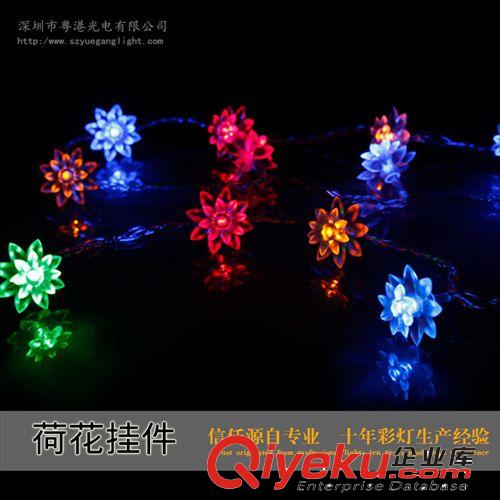 LED 彩燈10米100燈荷花燈 掛件燈110v串燈 防水燈220V1電池 樹燈原始圖片3