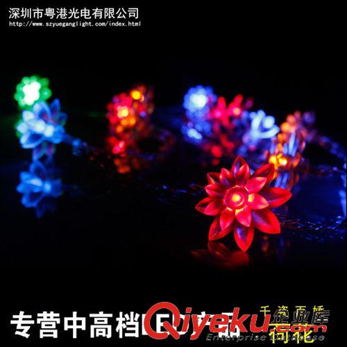 LED彩燈閃燈串燈 掛件燈串圣誕彩燈節日彩燈 蜻蜓掛件燈