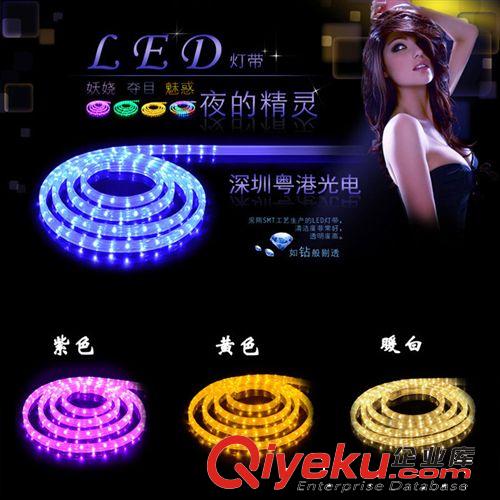 led彩虹管 led燈帶 扁三線 扁四線 彩虹管 LED霓虹燈帶