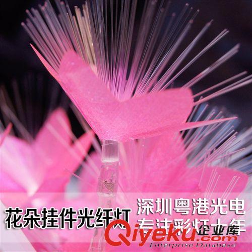 10米白色光纖燈串  led彩燈 花朵串燈 婚慶彩燈 圣誕燈節日燈原始圖片2