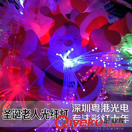 超炫光纖花葉LED燈 圣誕節日喜慶裝飾彩燈串