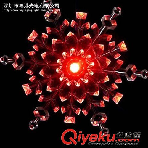LED掛件燈 大掛件燈串 彩燈 閃燈 套裝掛件 節日閃燈 高亮