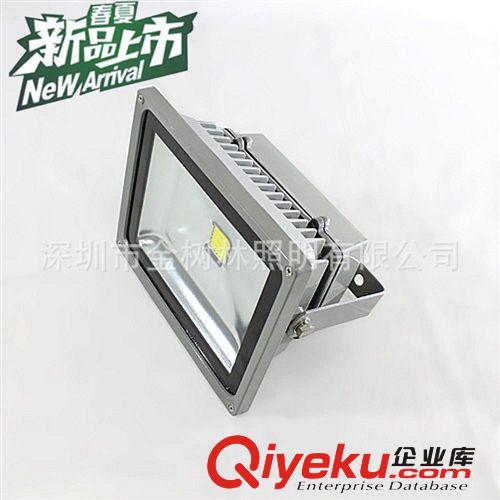 金樹林泛光燈 LED泛光燈30W 晶元芯片泛光燈