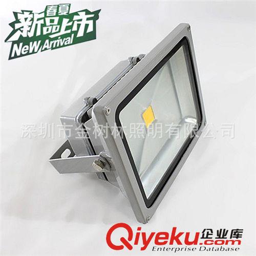金樹林泛光燈 LED泛光燈30W 晶元芯片泛光燈