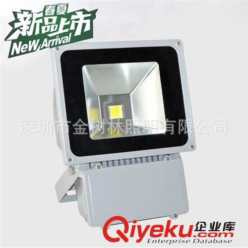 高品质 100W  LED泛光灯 LED集成100瓦投光灯