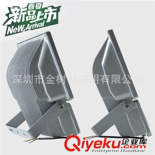 供应大功率投光灯 LED泛光灯80W  投光灯