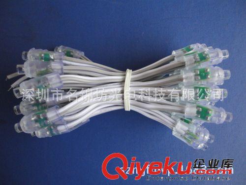 深圳LED外露燈串廠家供應F5外露白LED防水燈串原始圖片3