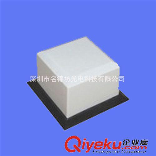 LED雙向點光源 led點光源 像素點光源 二次封裝點光源原始圖片2