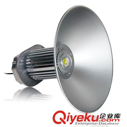 50W 圓柱 三柱 橢圓柱 散光 聚光燈 烤漆 led工礦燈 工廠燈原始圖片3