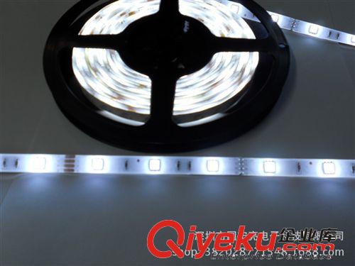 燈條廠家大量銷售 白色燈條 裝飾燈條 LED燈帶燈條