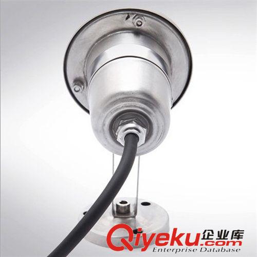 LED景觀燈 噴泉燈 水池?zé)?水下射燈3W6W7W9W12W18W24W水底燈led