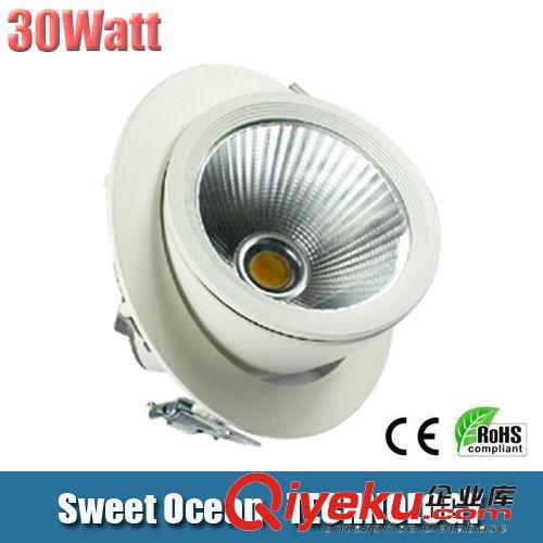 10W LED象鼻燈 LED象鼻射燈 LED象鼻射燈批發(fā) 服裝店專用