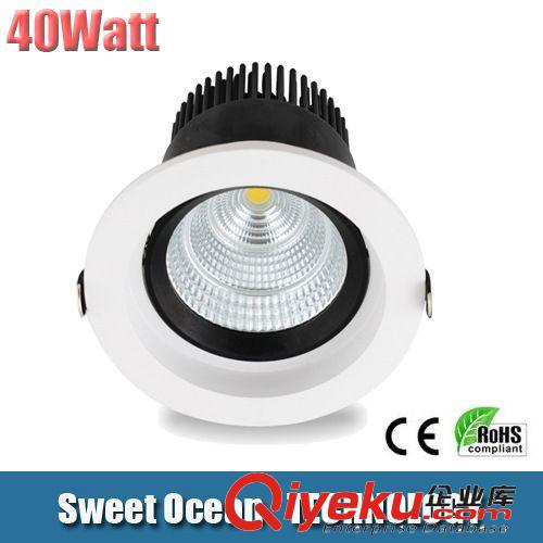 LED 40W COB筒燈  驅(qū)動(dòng)過CE 出口品質(zhì)外貿(mào)專用