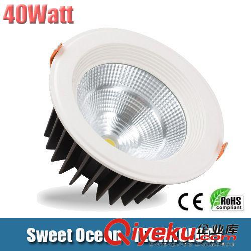 LED 30W COB筒燈  電源過(guò)CE 出口品質(zhì)外貿(mào)專(zhuān)用