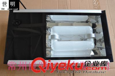 【常州世明】250W無(wú)極熒光燈 隧道燈原始圖片2