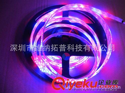 12V 3528貼片RGB七彩高亮防水LED跑馬燈帶5米+24鍵控制器+2A電源