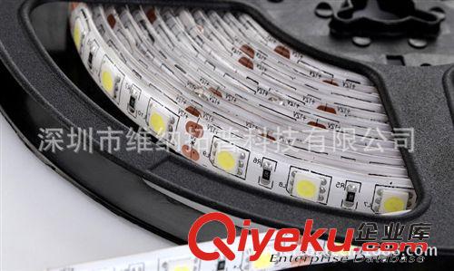 12V5050白光燈帶5米60LED /米高品質(zhì)防水SMD LED滴膠防水燈條IP65原始圖片2