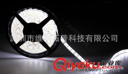 12V5050白光燈帶5米60LED /米高品質(zhì)防水SMD LED滴膠防水燈條IP65原始圖片3