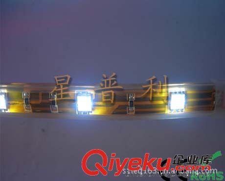 LED strips LED 軟燈條 LED燈條