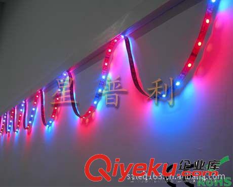 LED strips LED 軟燈條 LED燈條