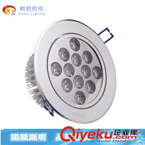 LED 15w天花燈射燈 進(jìn)口芯片 恒流電源 廠家直銷 品質(zhì)保證