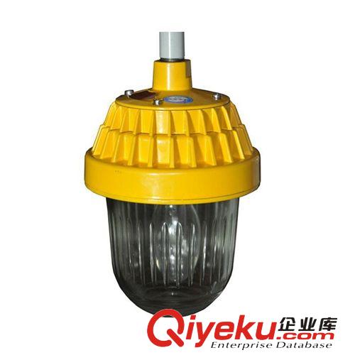 海洋王BPC8720防爆平臺燈系列 防爆平臺燈廠家原始圖片2