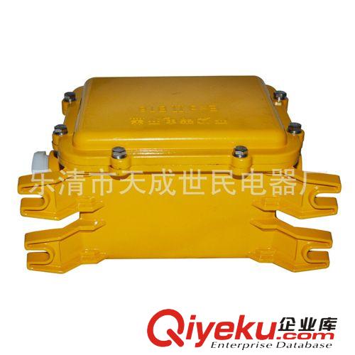 防爆鎮(zhèn)流器箱世民電器專業(yè)批發(fā)銷售 150WIIB防爆鎮(zhèn)流器箱原始圖片3