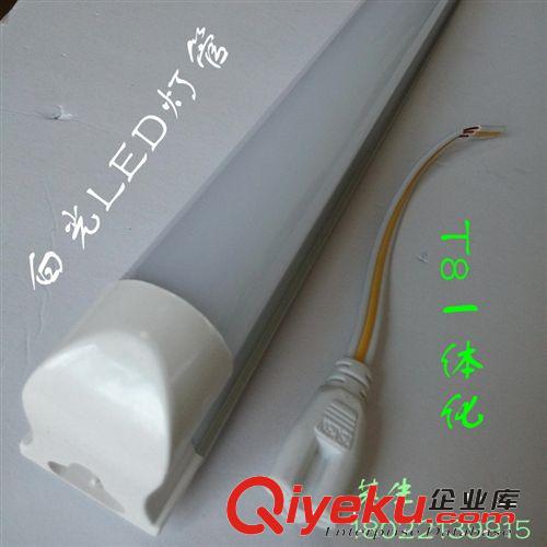 低壓日光燈管 36VLED日光燈管 礦區(qū)用36V低壓T8一體化日光燈管16W原始圖片2