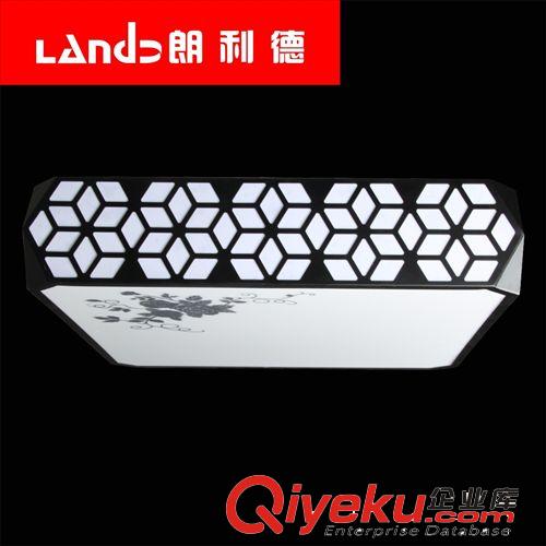 朗利德 LED吸頂燈 田園風格 客廳臥室燈 奧朵同款21W72W 1021tj