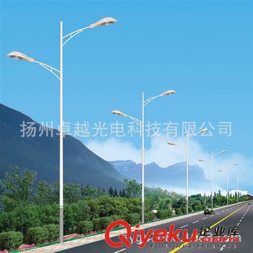 專業生產廠家 直銷戶外照明燈具 雙臂LED路燈 雙臂景觀燈原始圖片3