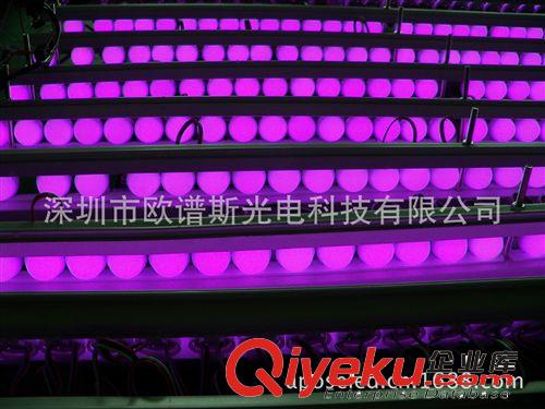 深圳LED廠商 歐譜斯光電供應(yīng)高品質(zhì) 30MM點控貼片燈串原始圖片2