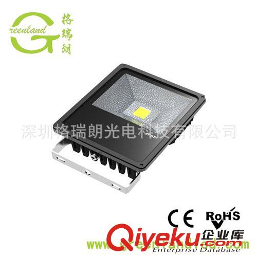 廠(chǎng)家直銷(xiāo) 3年質(zhì)保 高質(zhì)量45mil 50w led投光燈原始圖片2