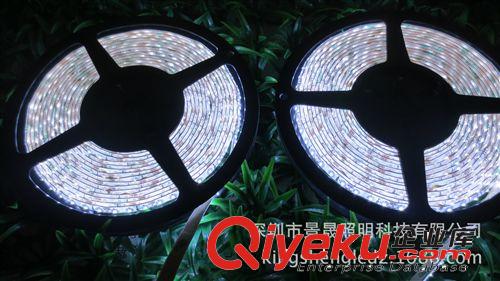 廠家直銷120燈每米 LED3014軟燈條 貼片軟燈帶 高亮led燈帶