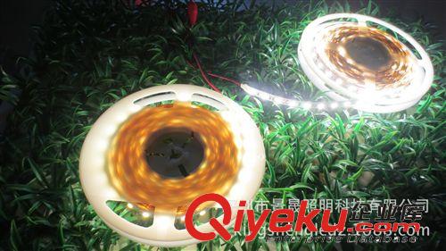 led軟燈條廠家批發 5050防水軟燈帶 直接滴膠led防水燈帶