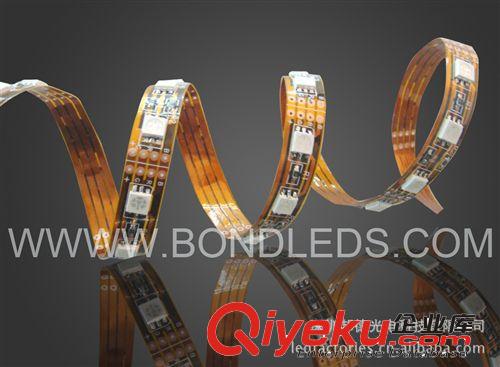 LED軟燈條 出口品質片 軟燈條12V 5050 60燈/M 白 不防水原始圖片2